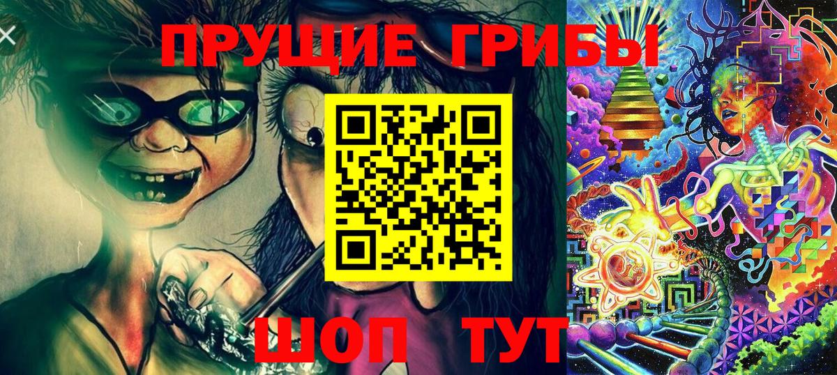 Галлюциногенные грибы прущие грибы  Вход с VPN  Качканар 