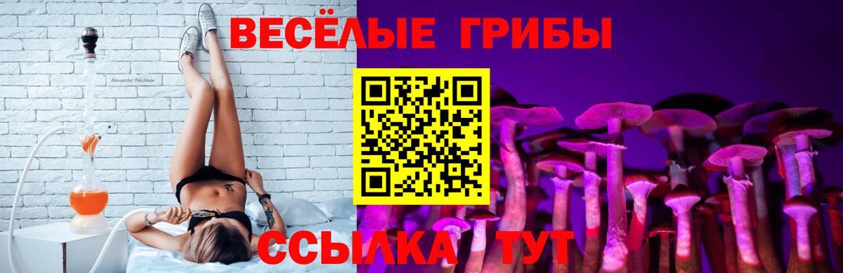 Псилоцибиновые грибы мухоморы Качканар